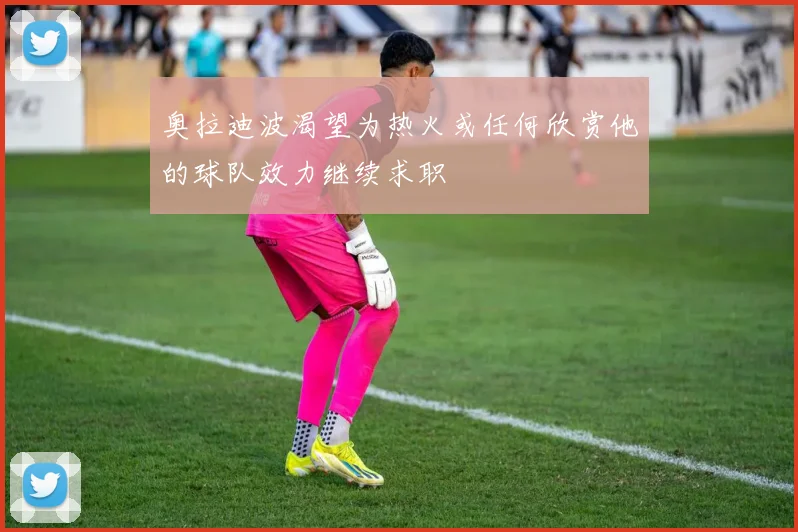 奥拉迪波渴望为热火或任何欣赏他的球队效力继续求职